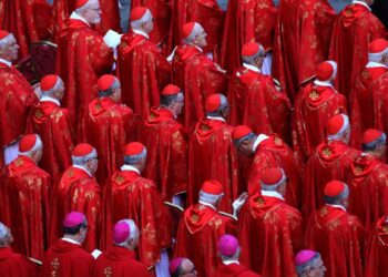 Vers la désignation du prochain Pape après François.